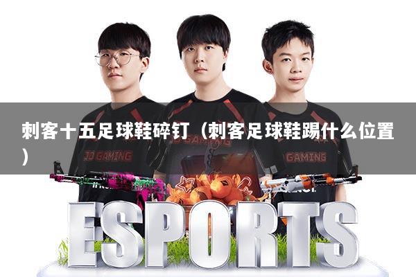 刺客十五足球鞋碎钉(刺客足球鞋踢什么位置)