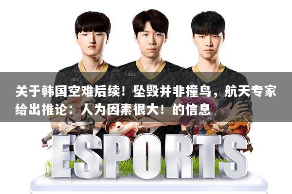 关于韩国空难后续!坠毁并非撞鸟,航天专家给出推论:人为因素很大!的信息