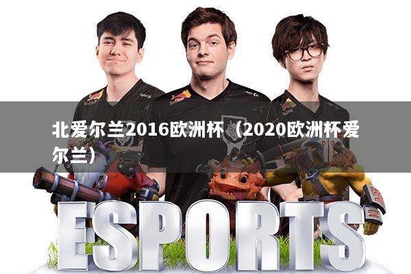 北爱尔兰2016欧洲杯(2020欧洲杯爱尔兰)