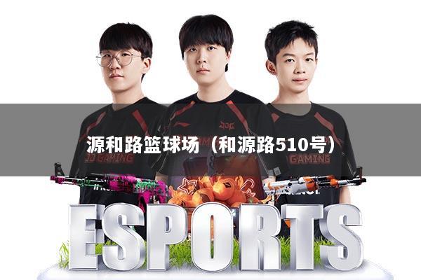 源和路篮球场(和源路510号)