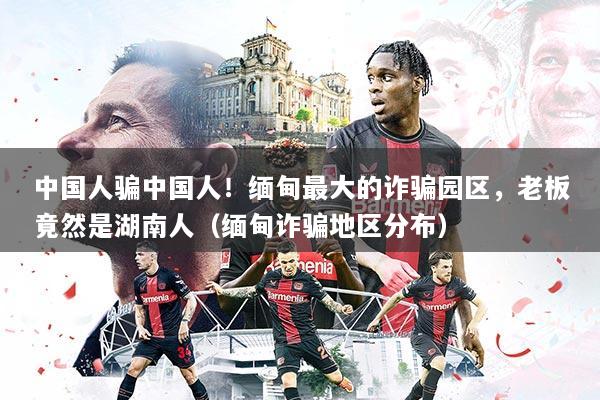 中国人骗中国人!缅甸最大的诈骗园区,老板竟然是湖南人(缅甸诈骗地区分布)