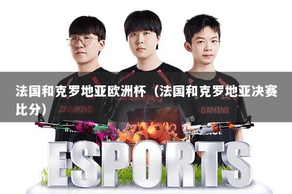 法国和克罗地亚欧洲杯(法国和克罗地亚决赛比分)