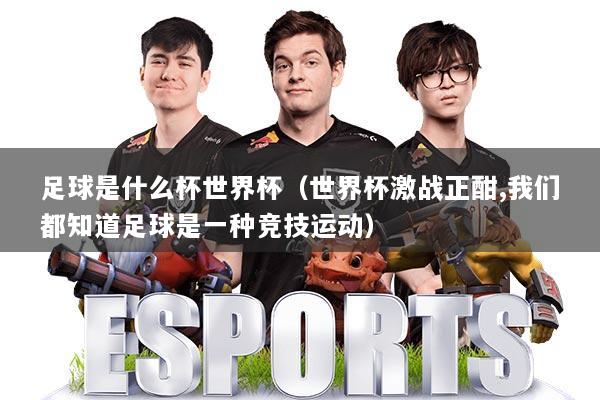 足球是什么杯世界杯(世界杯激战正酣,我们都知道足球是一种竞技运动)