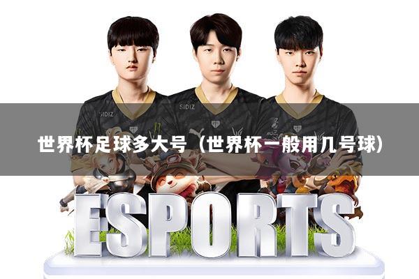 世界杯足球多大号(世界杯一般用几号球)