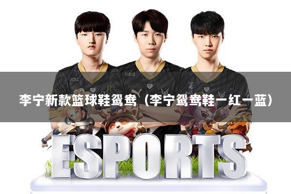 李宁新款篮球鞋鸳鸯(李宁鸳鸯鞋一红一蓝)