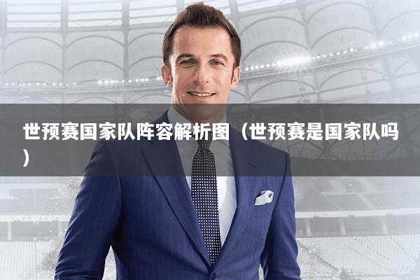 世预赛国家队阵容解析图(世预赛是国家队吗)