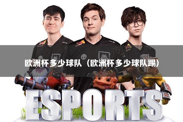 欧洲杯多少球队(欧洲杯多少球队踢)