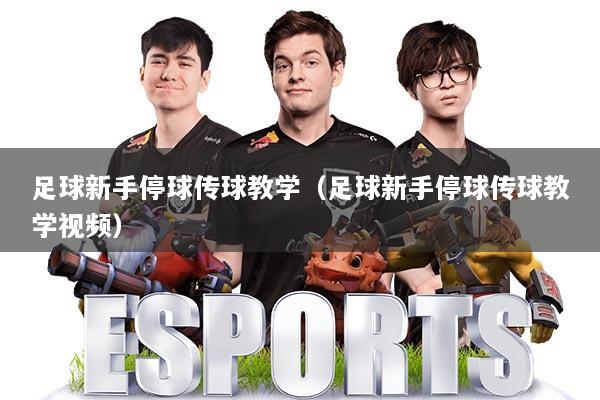 足球新手停球传球教学(足球新手停球传球教学视频)