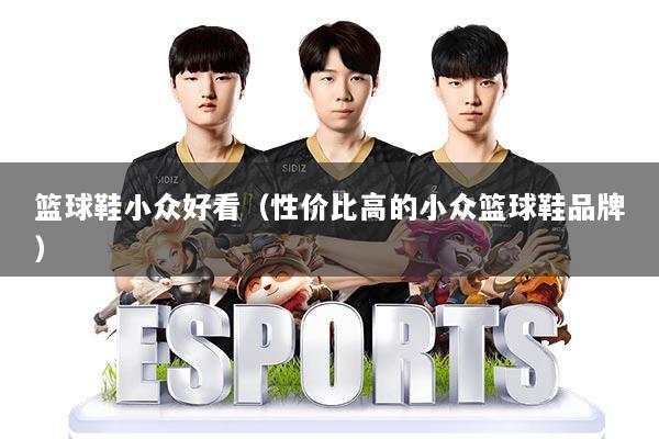 篮球鞋小众好看(性价比高的小众篮球鞋品牌)