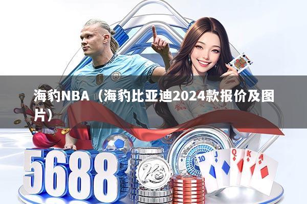 海豹NBA(海豹比亚迪2024款报价及图片)