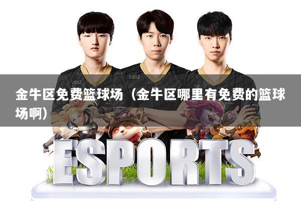 金牛区免费篮球场(金牛区哪里有免费的篮球场啊)