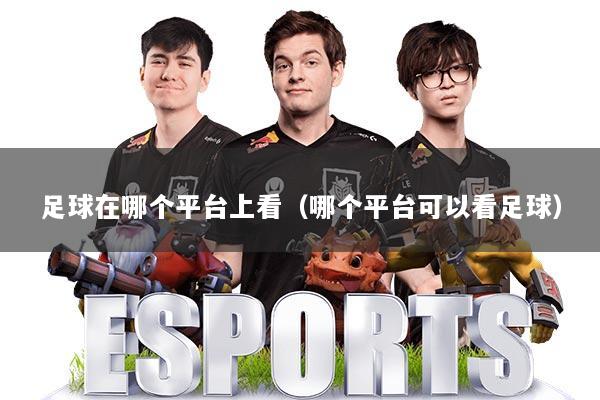 足球在哪个平台上看(哪个平台可以看足球)