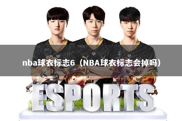 nba球衣标志6(NBA球衣标志会掉吗)