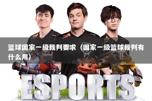 篮球国家一级裁判要求(国家一级篮球裁判有什么用)