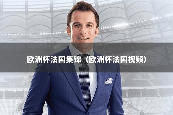 欧洲杯法国集锦(欧洲杯法国视频)