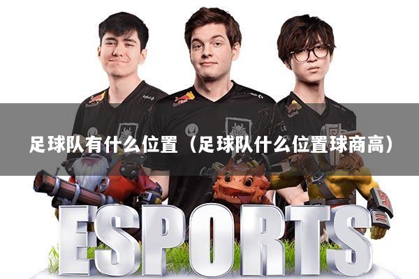 足球队有什么位置(足球队什么位置球商高)