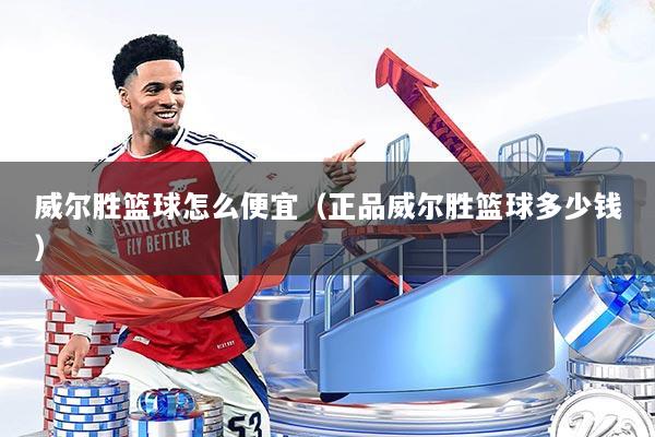 威尔胜篮球怎么便宜(正品威尔胜篮球多少钱)