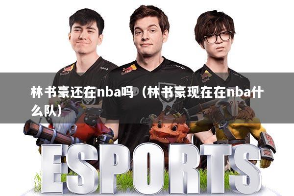 林书豪还在nba吗(林书豪现在在nba什么队)