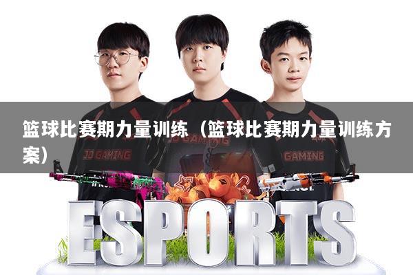 篮球比赛期力量训练(篮球比赛期力量训练方案)