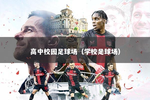 高中校园足球场(学校足球场)