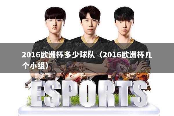2016欧洲杯多少球队(2016欧洲杯几个小组)