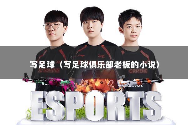 写足球(写足球俱乐部老板的小说)