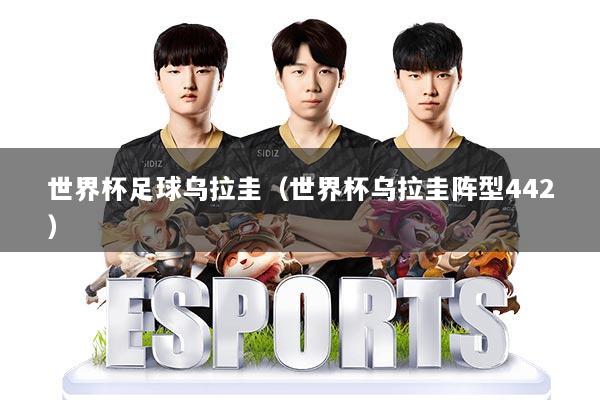 世界杯足球乌拉圭(世界杯乌拉圭阵型442)