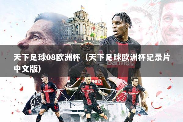 天下足球08欧洲杯(天下足球欧洲杯纪录片中文版)