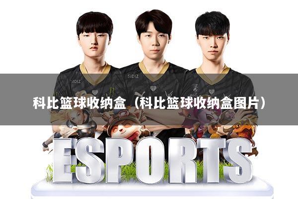 科比篮球收纳盒(科比篮球收纳盒图片)