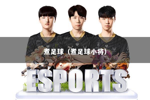 煮足球(煮足球小将)